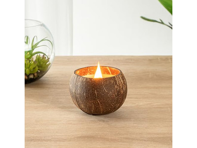 Свежие органические кокосы Продающие кокосовые скорлупы Ручная работа Коко чаша Воск