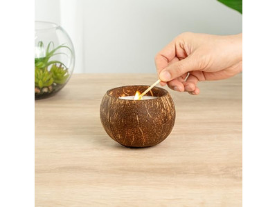 Свежие органические кокосы Продающие кокосовые скорлупы Ручная работа Коко чаша Воск