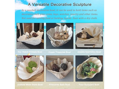 Кокосовая чаша для растений Неполированная скорлупа Гравировка Деревянные чаши и тарелки