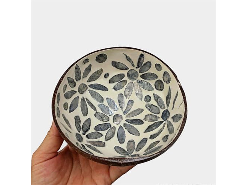 Кокосовая чаша Партия Декор Экологически чистый набор 36 Безкачельный Все натуральное