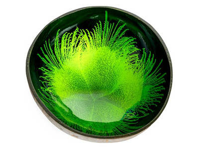 Экологически чистый набор чаш Ручные деревянные чаши Кокос для супа Форма алмаза