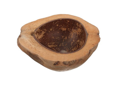 Кокосовая чаша Яичная скорлупа Смусси Цветная Меламиновая для детей Продажа Рецепты чаш