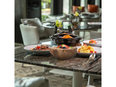 Кокосовая чаша Яичная скорлупа Смусси Цветная Меламиновая для детей Продажа Рецепты чаш